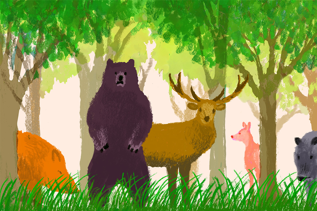 鳥獣保護管理法