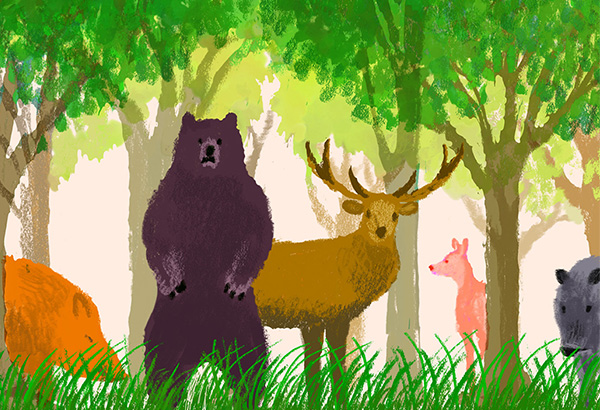 野生鳥獣の生息数や生息地が変化する中、人と鳥獣が適切な関係を築くための仕組みが必要とされています。