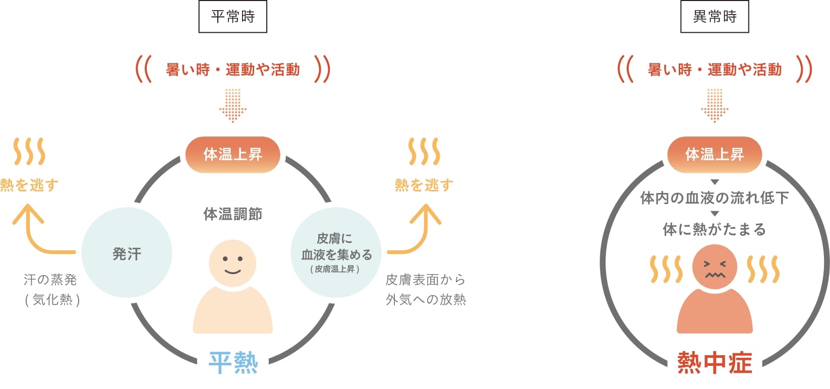 なぜ熱中症になるの？