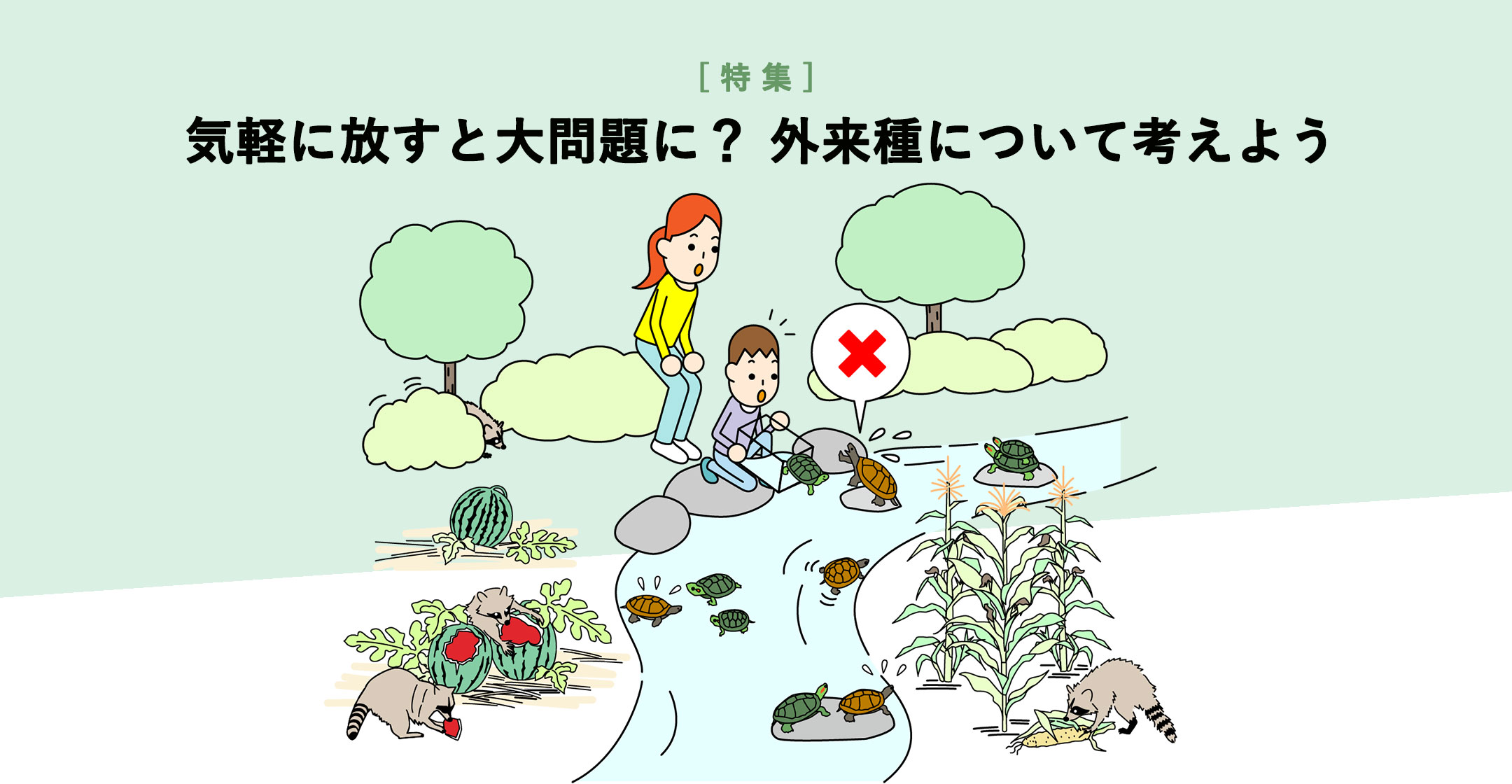 特集 気軽に放すと大問題に？外来種について考えよう