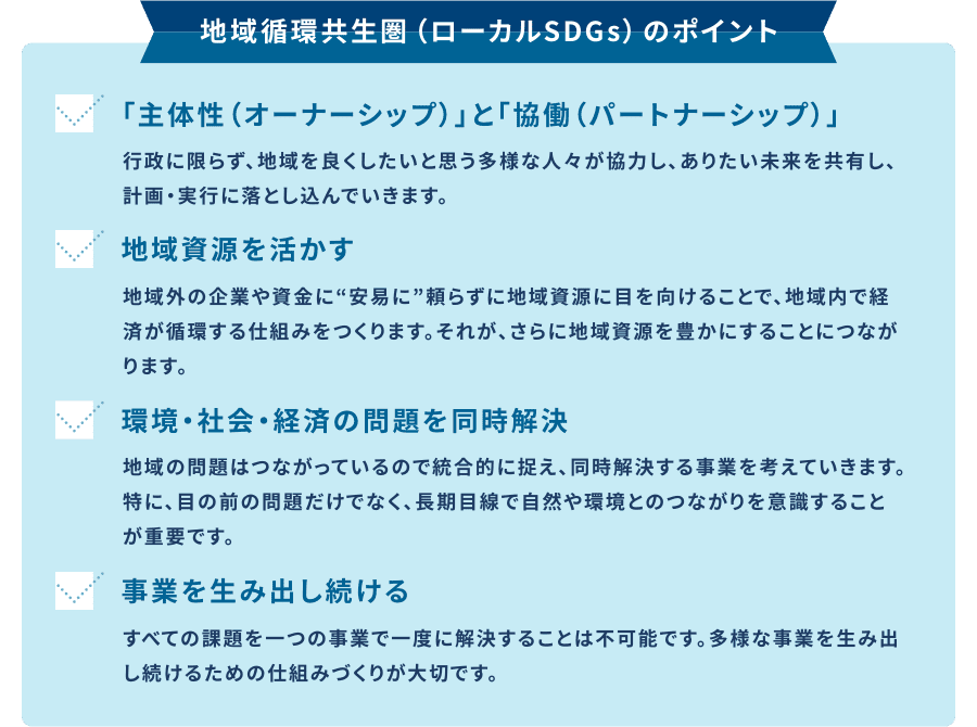 地域循環共生圏のポイント
