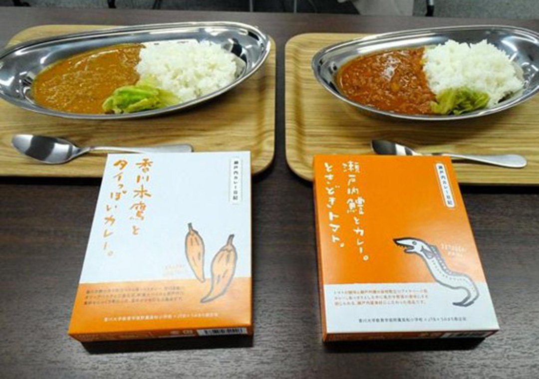 香川県の子どもたちと開発した、地域の食材や未利用魚、規格外の野菜を活用したレトルトカレー。（写真提供：JTB）