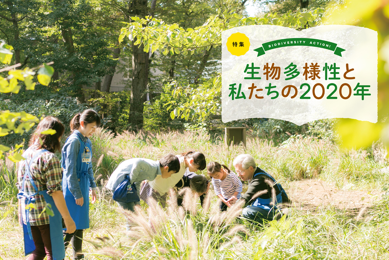 特集 生物多様性と私たちの2020年