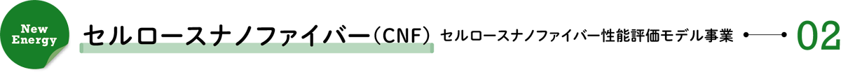 New Energy 02/セルロースナノファイバー(CNF)―セルロースナノファイバー性能評価モデル事業