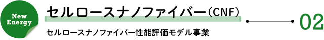 New Energy 02/セルロースナノファイバー(CNF)―セルロースナノファイバー性能評価モデル事業