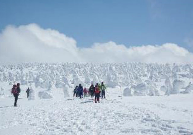 十和田八幡平国立公園では、雪のある時期にスノートレッキングを開催。参加者はスノーシューを装着して、周辺の森など、雪景色の中を散策することができる