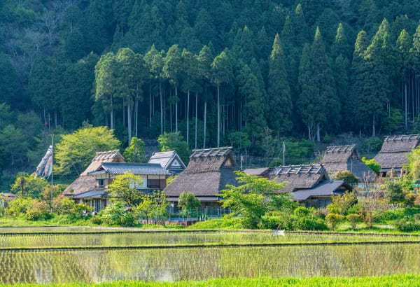 生物多様性とはなにか？