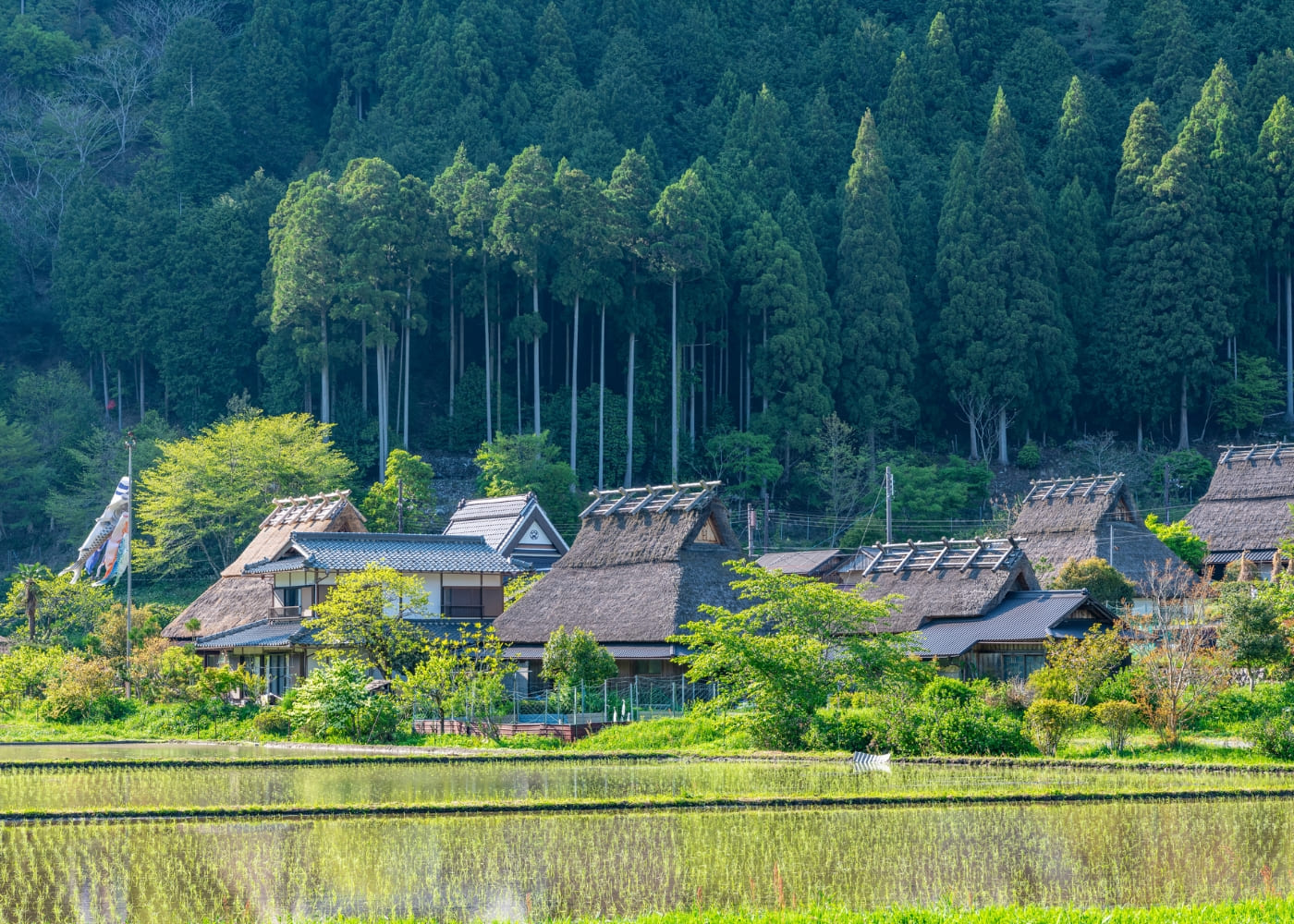 里地里山