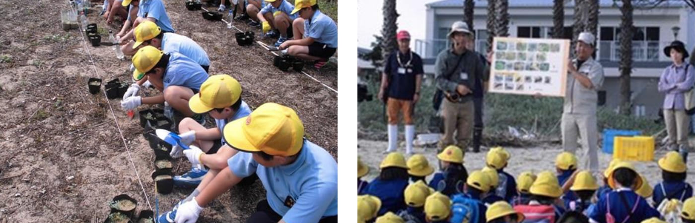 富田小学校4年生120名によるウンラン移植会（左／2016年）。富田小学校の織田ヶ浜動植物マップ作り（右／2017年）。