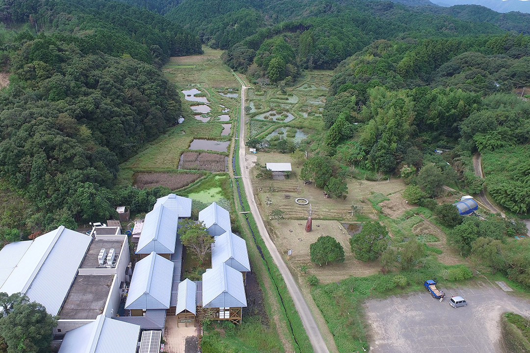 トンボ王国の全景。