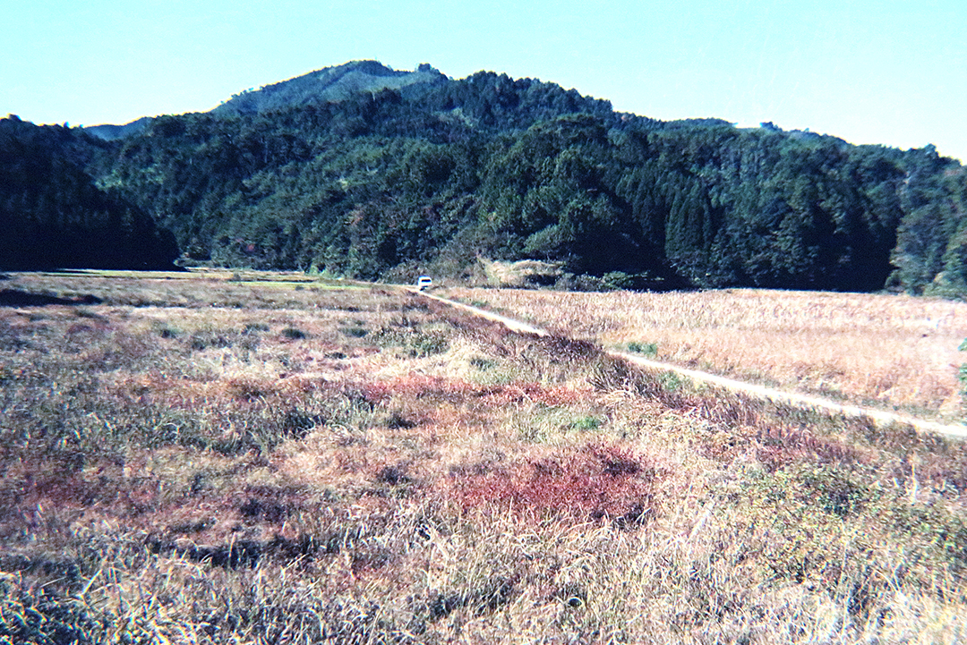 トンボ王国が作られる前の用地（1983年）。