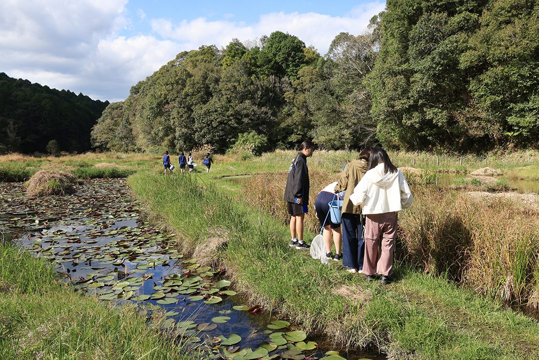 生き物探しゲームの様子。トンボを観察するには、活動が活発になる午前中がおすすめ。