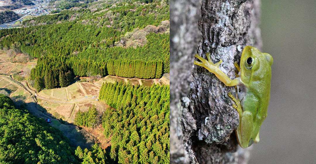 モリ田守センター