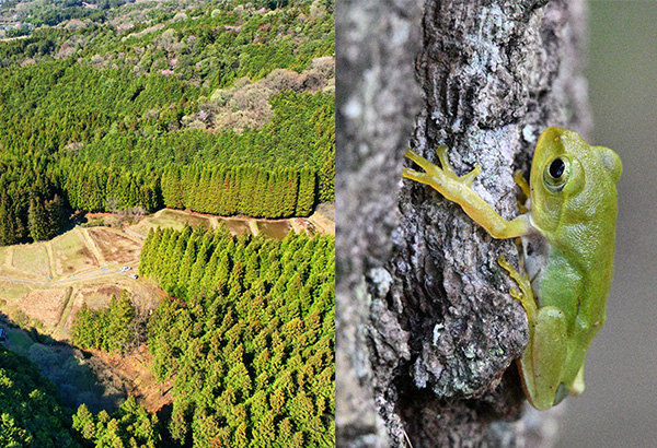 モリ田守センター［合同会社 モリ田守］