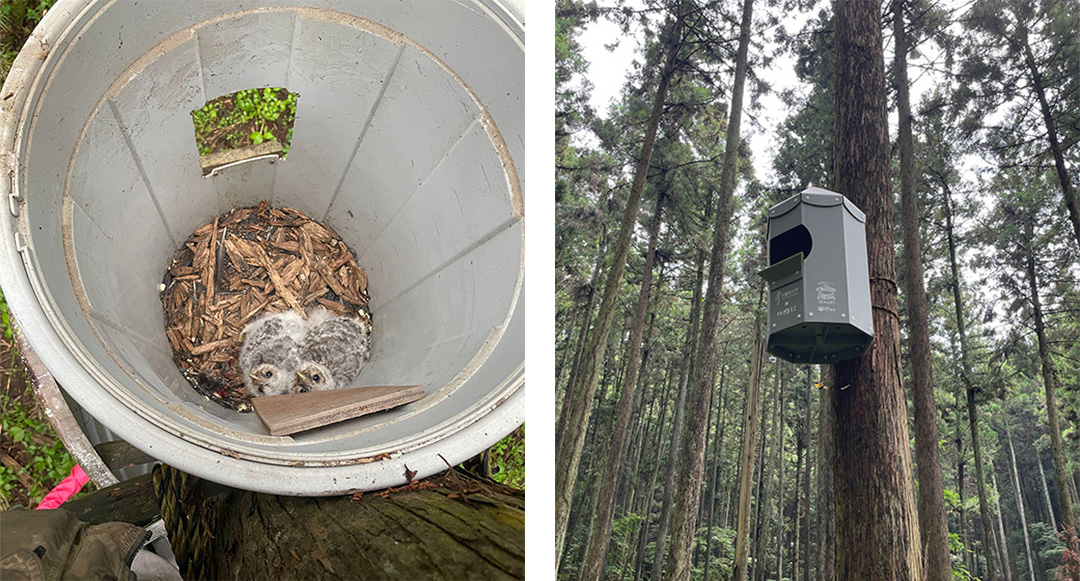 トンボ王国が作られる前の用地（1983年）。