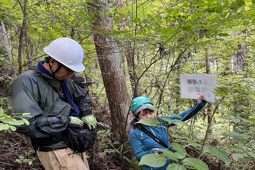 年に一回行われる植生調査の光景。こうしたモニタリングは適切な森林管理の基盤になります。