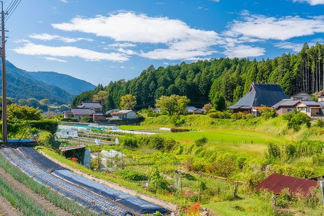 のどかな里山の風景が広がる大原。写真／PIXTA