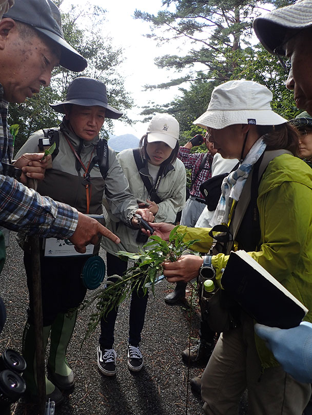実際の植物を手にしながら解説を受ける参加者たち（右）