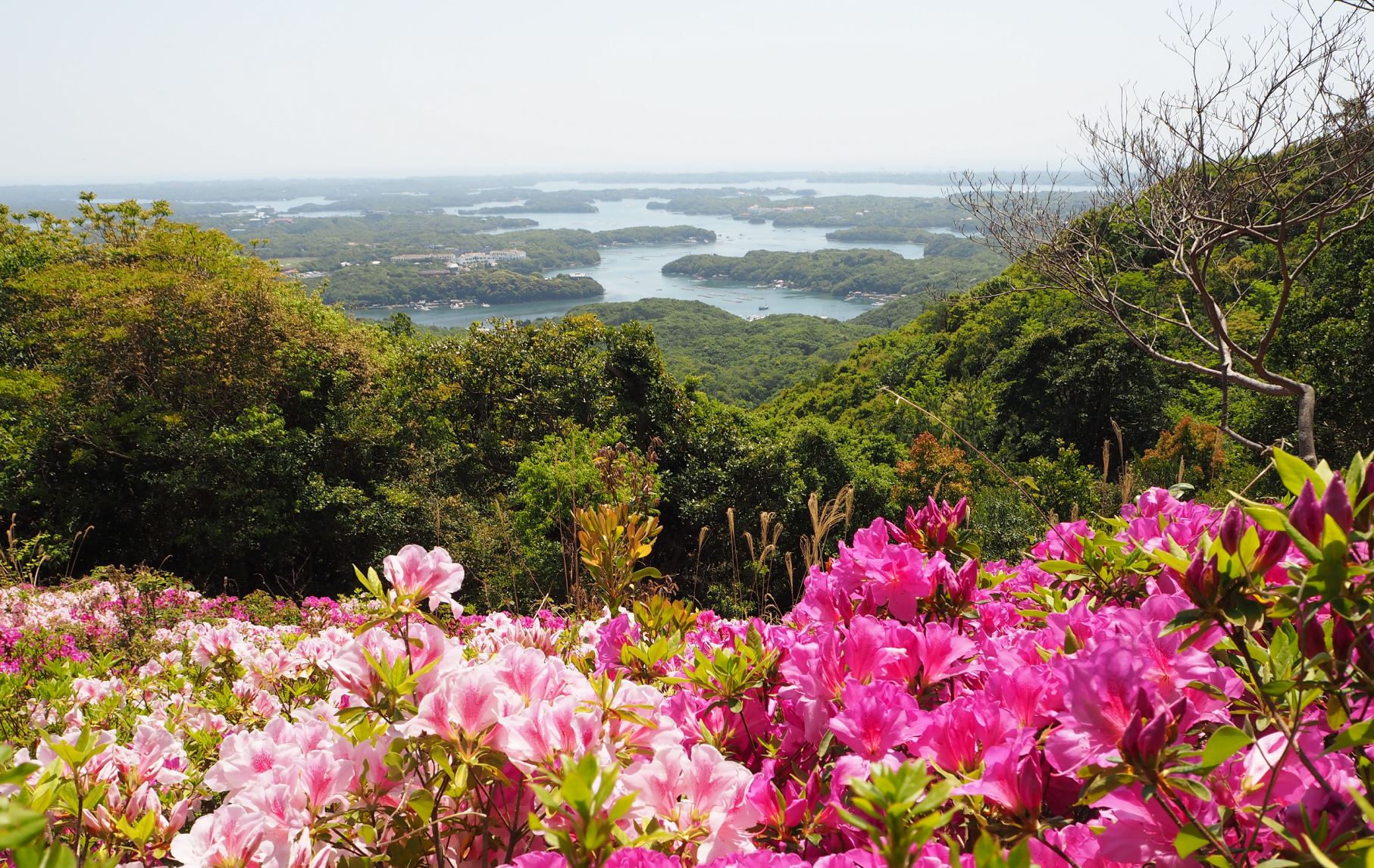 伊勢志摩国立公園