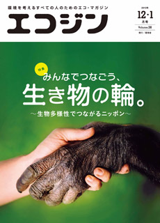 2013年12・1月号