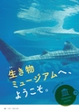 エコジン０４・０５月号