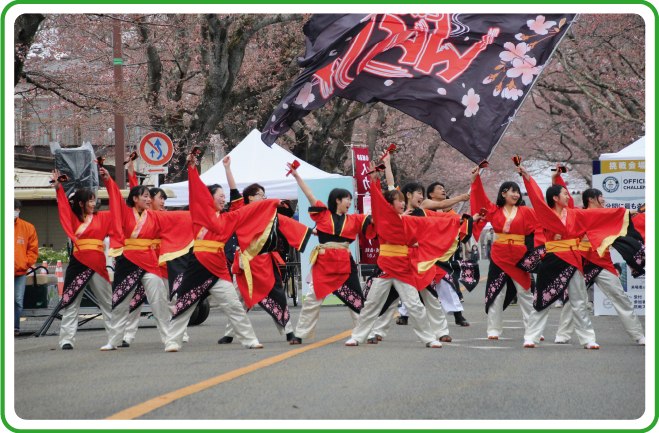 7年ぶりに桜並木を愛でるイベントを実施！