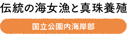 伝統の海女漁と真珠養殖　国立公園内海岸部