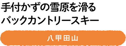 手付かずの雪原を滑るバックカントリースキー　八甲田山