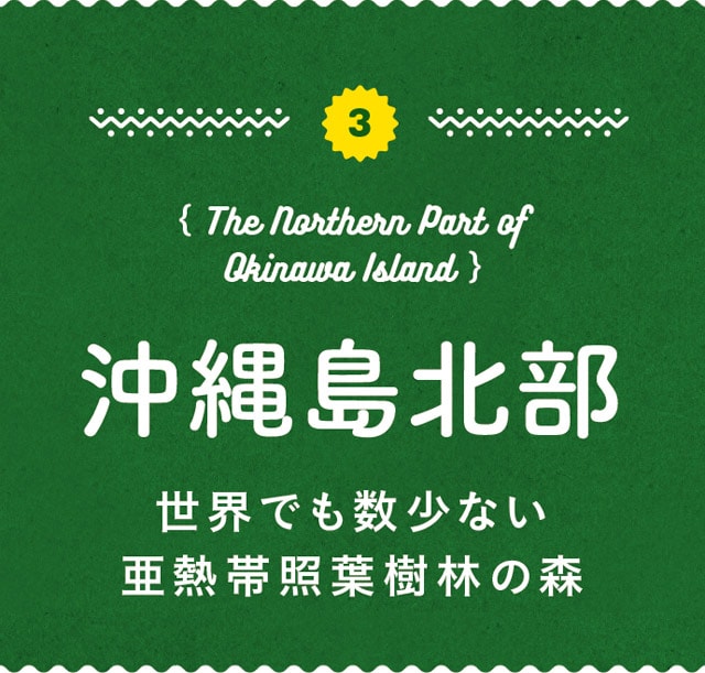 3.The Northern Part of Okinawa Island-沖縄島北部／世界でも数少ない亜熱帯照葉樹林の森