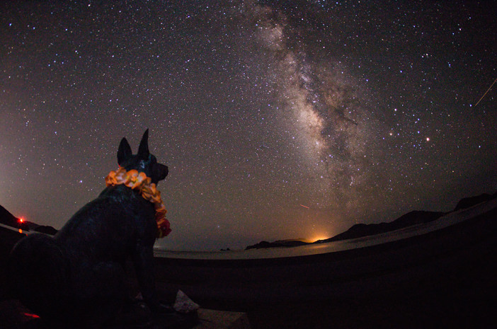 座間味島の夜が見せる満点の星空