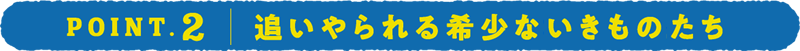 POINT.2 追いやられる希少ないきものたち