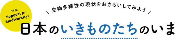 生物多様性の現状をおさらいしてみよう 日本のいきものたちのいま