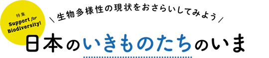 生物多様性の現状をおさらいしてみよう 日本のいきものたちのいま