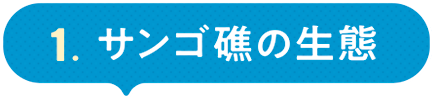 １．サンゴ礁の生態