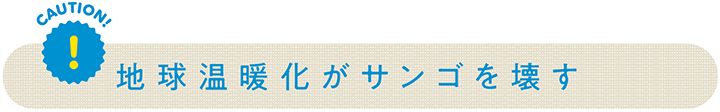 地球温暖化がサンゴを壊す