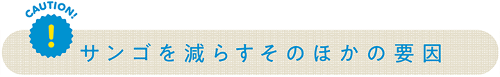 サンゴを減らすそのほかの原因