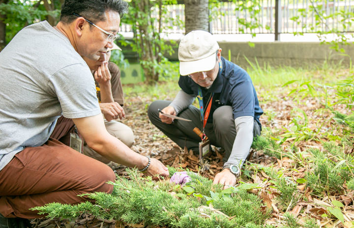 それぞれがイマジネーションを膨らませて意見を交わし合う。この会ではこの植物の名前は「森サンゴ」に決まった