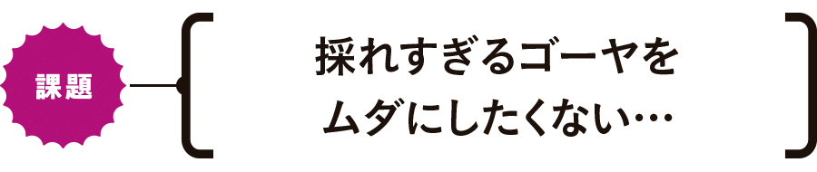 【課題】採れすぎるゴーヤをムダにしたくない…