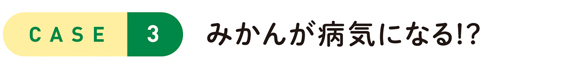 CASE3 みかんが病気になる!?