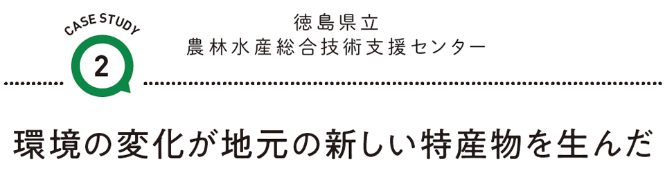 CASE STUDY 2 徳島県立農林水産総合技術支援センター　環境の変化が地元の新しい特産物を生んだ