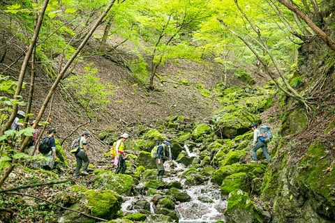 道中には、渓流を石伝いに渡る場所も。道なき道を行くのも、登山のちょっとした醍醐味