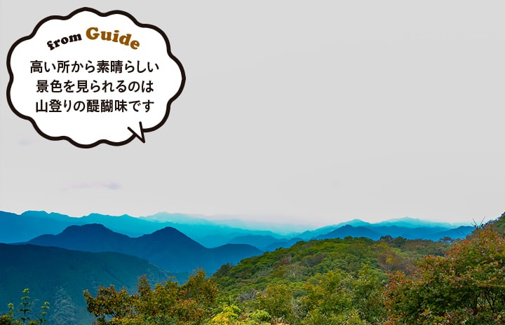 高い所から素晴らしい景色を見られるのは山登りの醍醐味です