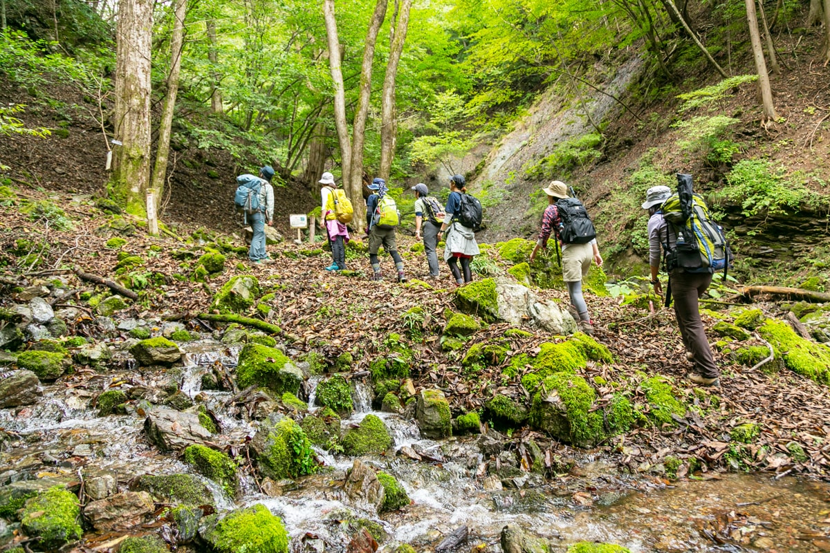 里山こらぼ