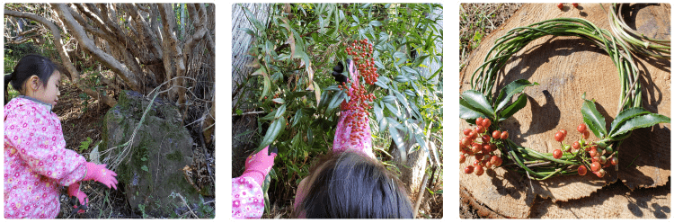 つる性植物でクリスマスリースづくり