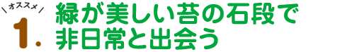 オススメ1.緑が美しい苔の石段で非日常と出会う