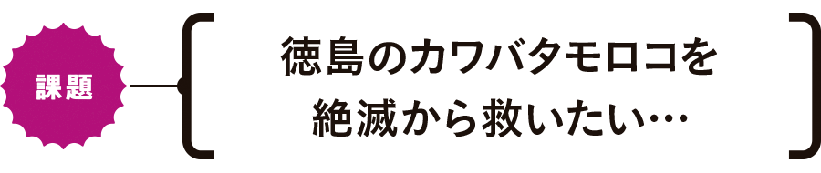 【課題】徳島のカワバタモロコを絶滅から救いたい…