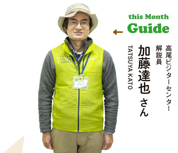 this Month Guide　高尾ビジターセンター解説員　加藤達也さん