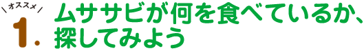 オススメ1.ムササビが何を食べているか、探してみよう