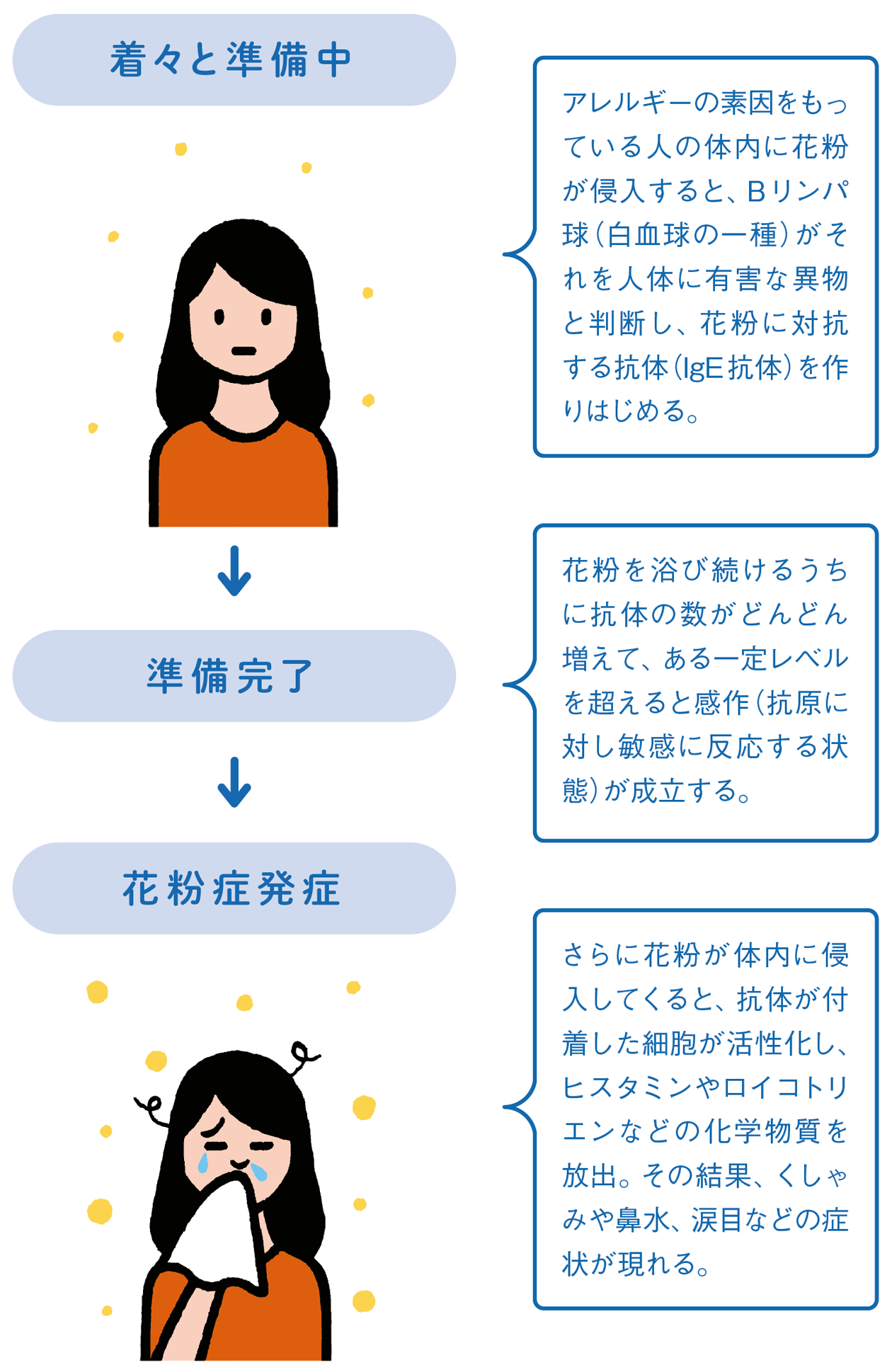 花粉症の仕組み