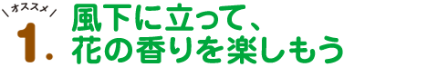 オススメ1.風下に立って、花の香りを楽しもう